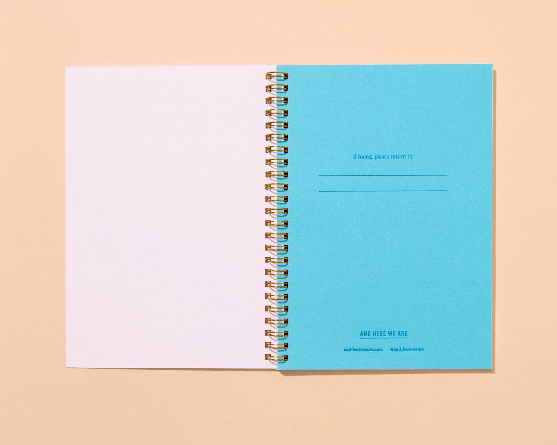 And Here We Are - Letterpress A5 Spiral Notebook—Rainbow Trout (Colorful Fish) - PMA Store at the Portland Museum of Art, Maine