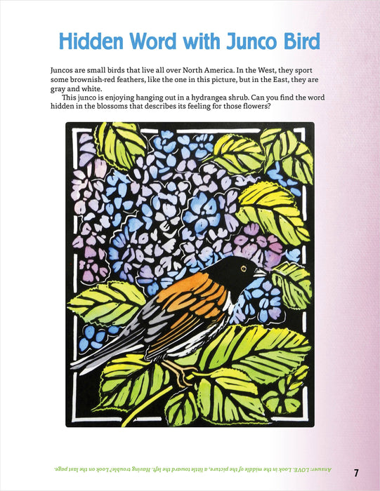 Pomegranate - Molly Hashimoto’s Art & Nature Activity Book - PMA Store at the Portland Museum of Art, Maine