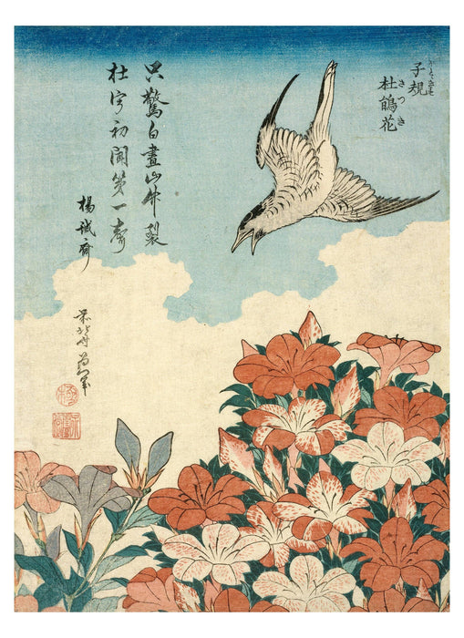 Pomegranate - Hokusai Book of Postcards - PMA Store at the Portland Museum of Art, Maine