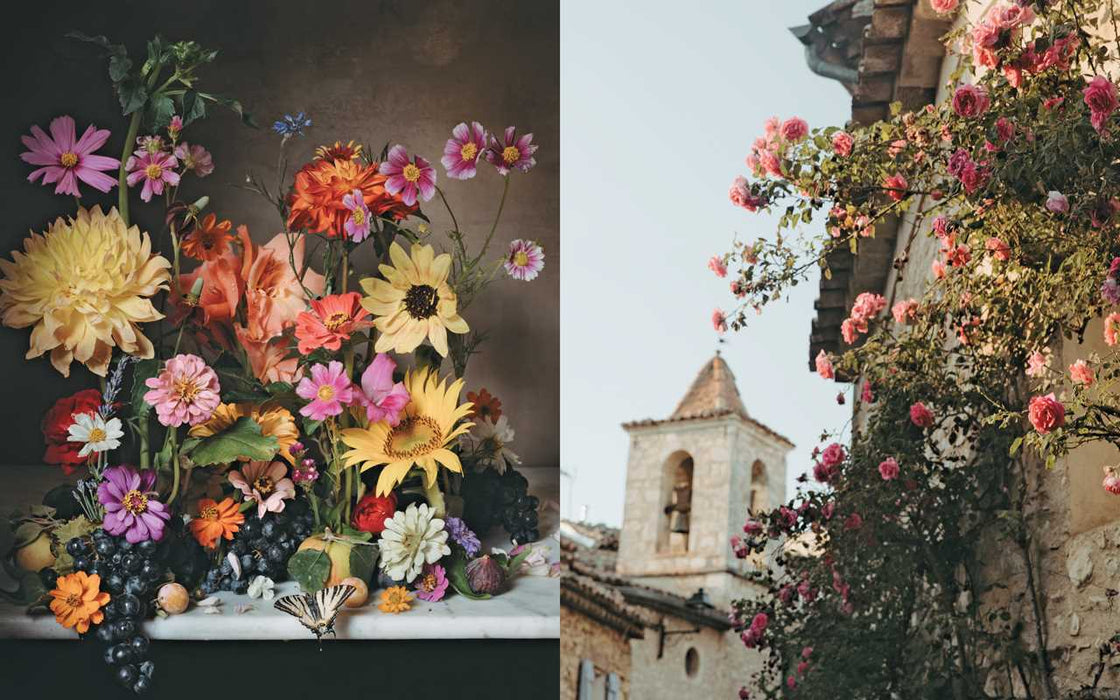 Simon & Schuster - Flowers of Provence by Jamie Beck - PMA Store at the Portland Museum of Art, Maine