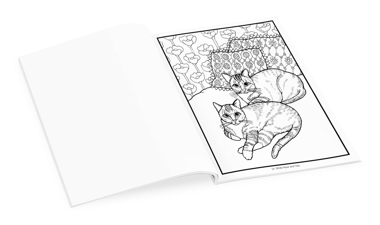 Pomegranate - Mimi Vang Olsen: Cats Coloring Book - PMA Store at the Portland Museum of Art, Maine