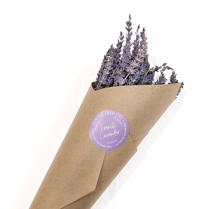 Seattle Seed Co. - Fragrant Dried Grosso French Lavender Flowers Home Decor: Long Stems - PMA Store at the Portland Museum of Art, Maine