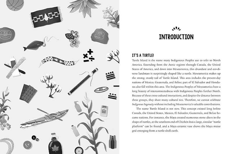 Hachette Book Group - Indigenous Ingenuity: Trade Paperback