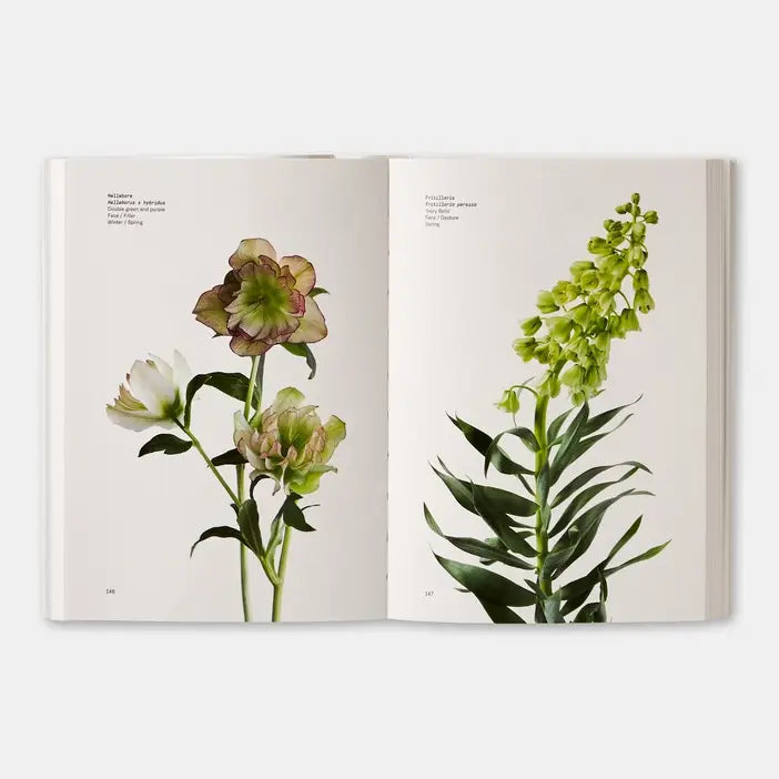 Flower Color Guide - PMA Store at the Portland Museum of Art, Maine