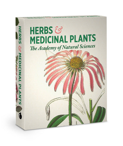 Pomegranate - Herbs and Medicinal Plants Knowledge Cards - PMA Store at the Portland Museum of Art, Maine