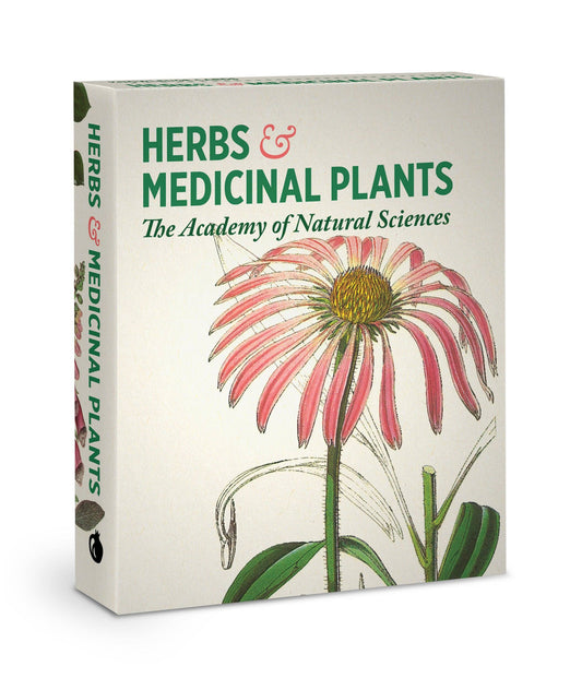 Pomegranate - Herbs and Medicinal Plants Knowledge Cards - PMA Store at the Portland Museum of Art, Maine