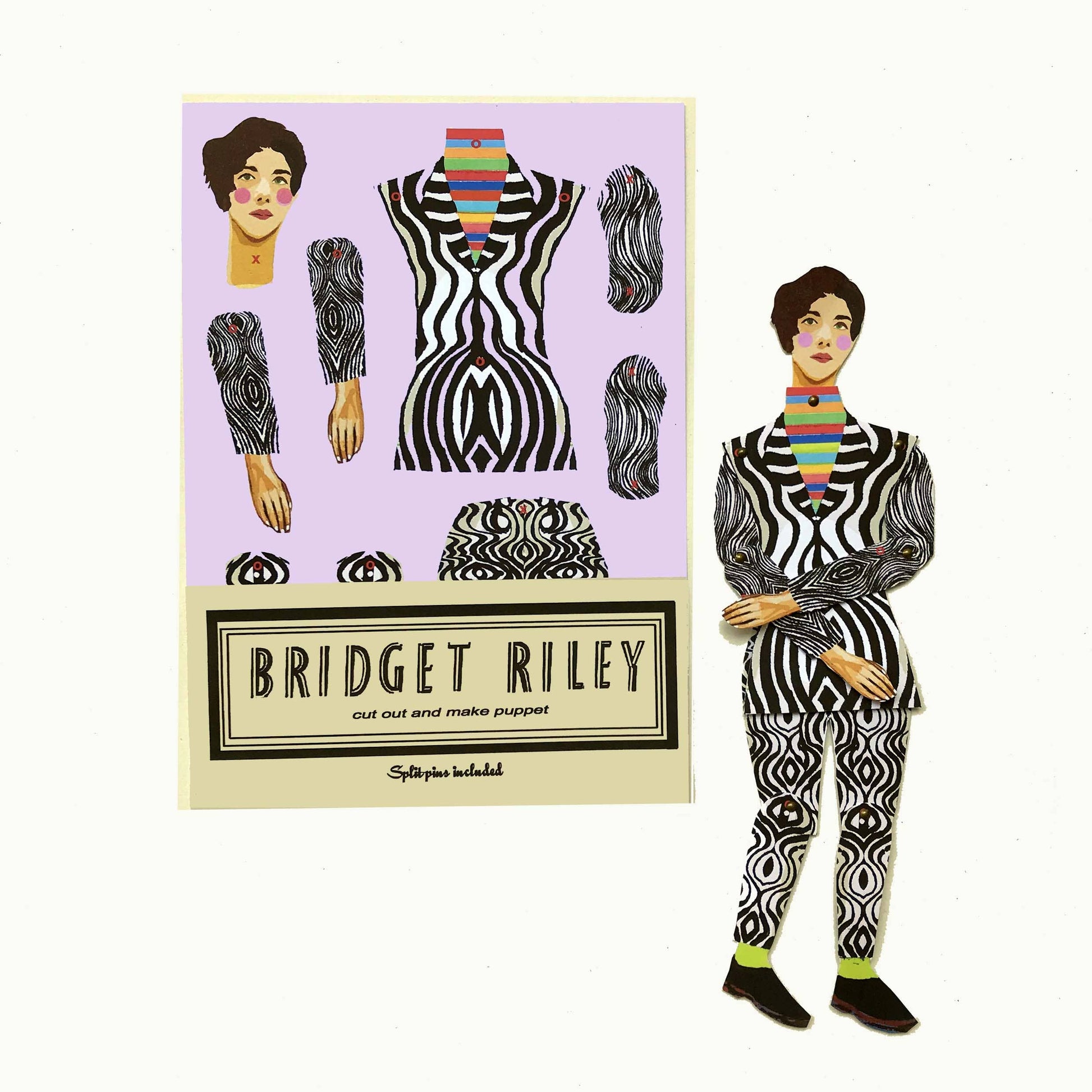 Bridget Riley - PMA Store at the Portland Museum of Art, Maine