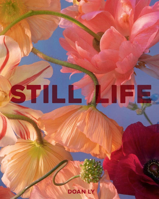 Chronicle Books - Still Life - PMA Store at the Portland Museum of Art, Maine