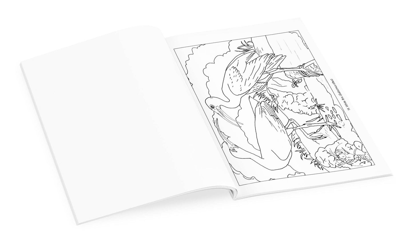 Pomegranate - John James Audubon: Birds Coloring Book - PMA Store at the Portland Museum of Art, Maine