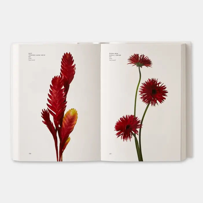 Flower Color Guide - PMA Store at the Portland Museum of Art, Maine