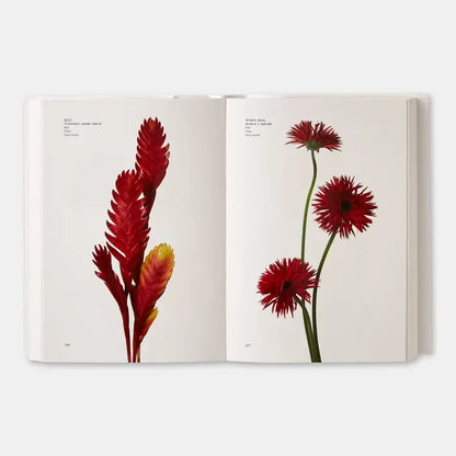 Flower Color Guide - PMA Store at the Portland Museum of Art, Maine