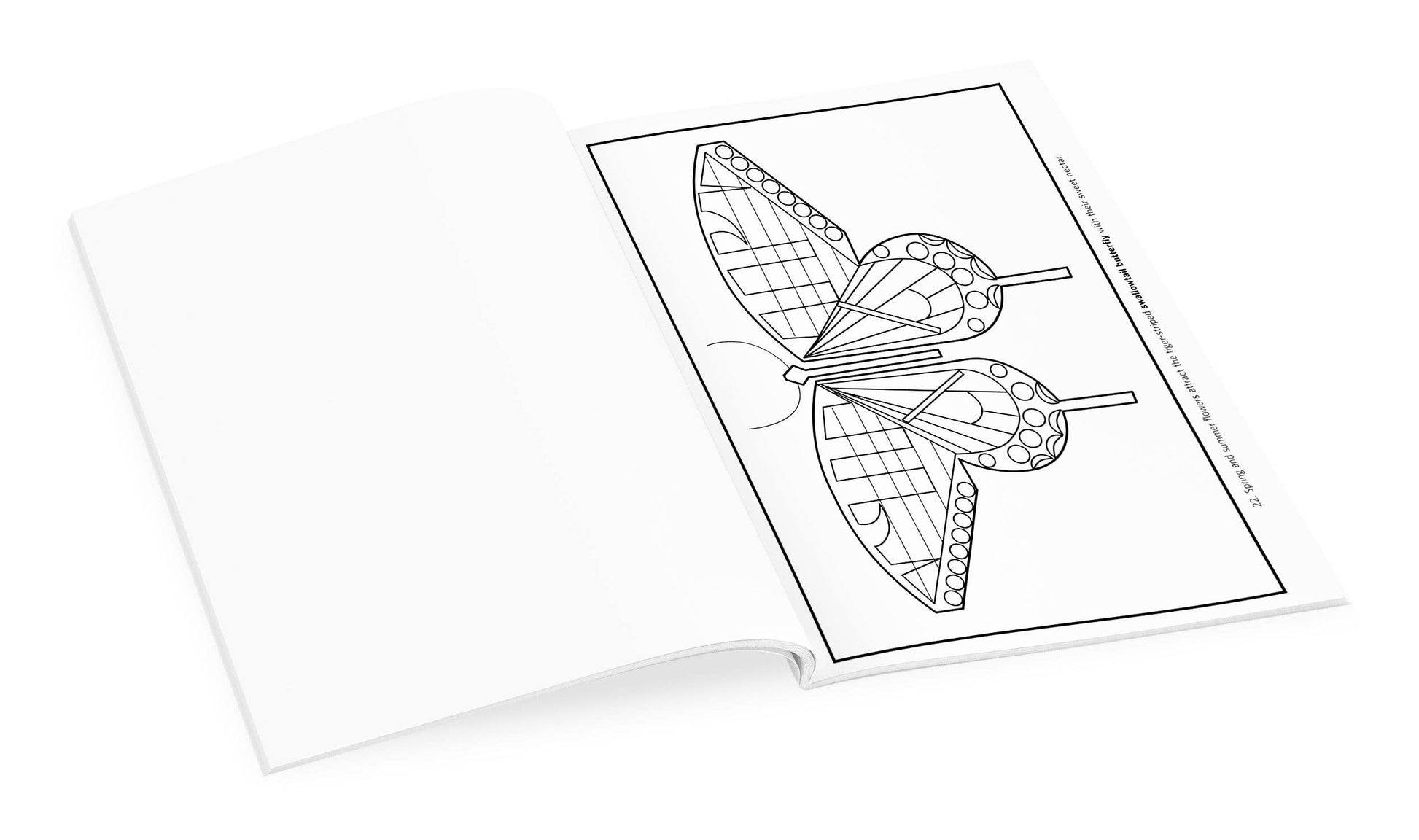Pomegranate - Charley Harper: Volume 1 Coloring Book - PMA Store at the Portland Museum of Art, Maine