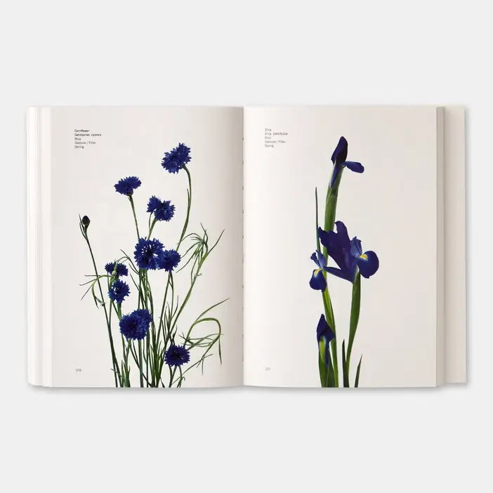 Flower Color Guide - PMA Store at the Portland Museum of Art, Maine