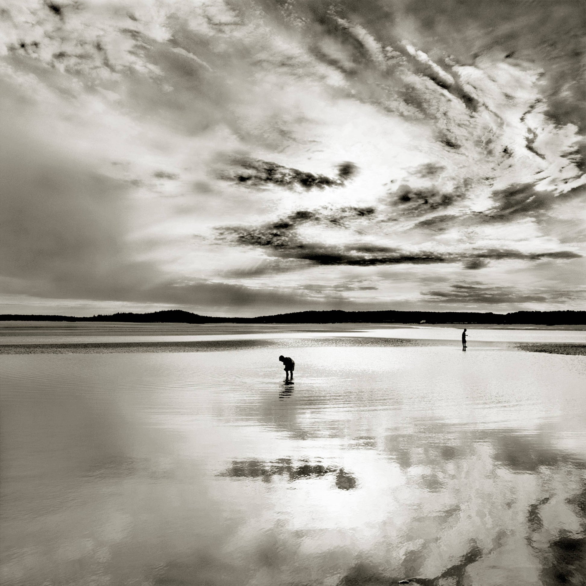 Schiffer Publishing - The Maine Coast - PMA Store at the Portland Museum of Art, Maine