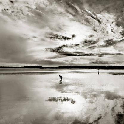 Schiffer Publishing - The Maine Coast - PMA Store at the Portland Museum of Art, Maine