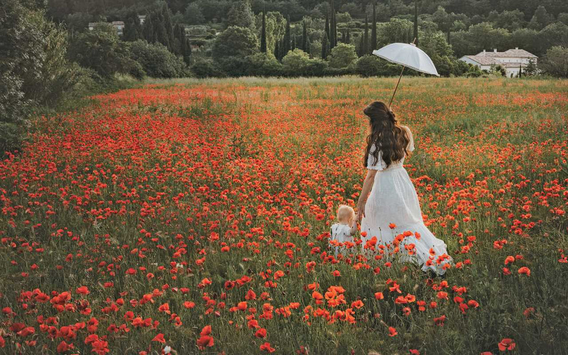 Simon & Schuster - Flowers of Provence by Jamie Beck - PMA Store at the Portland Museum of Art, Maine