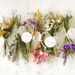 Dried Flower Bundles: Seafoam - PMA Store at the Portland Museum of Art, Maine