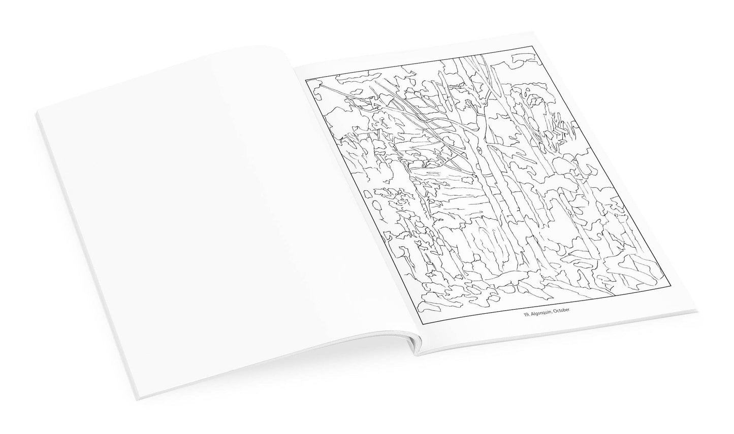 Pomegranate - Tom Thomson Coloring Book - PMA Store at the Portland Museum of Art, Maine
