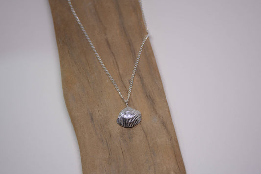 Sea Salt & Silver - Radial Clam Shell Necklace - PMA Store at the Portland Museum of Art, Maine