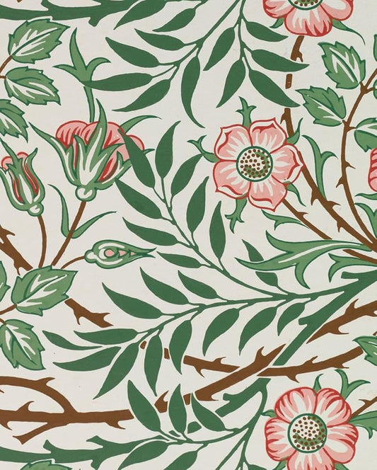 William Morris Keepsake Boxed Notecards cover image