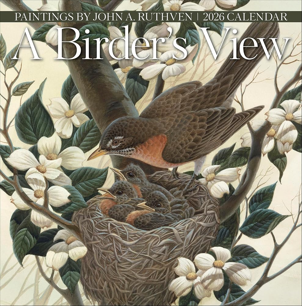 Wall Calendar 2026, A Birder's View: John A. Ruthven Bird Art, 12 Months, Large Grid Design Featuring 12 Artworks cover image