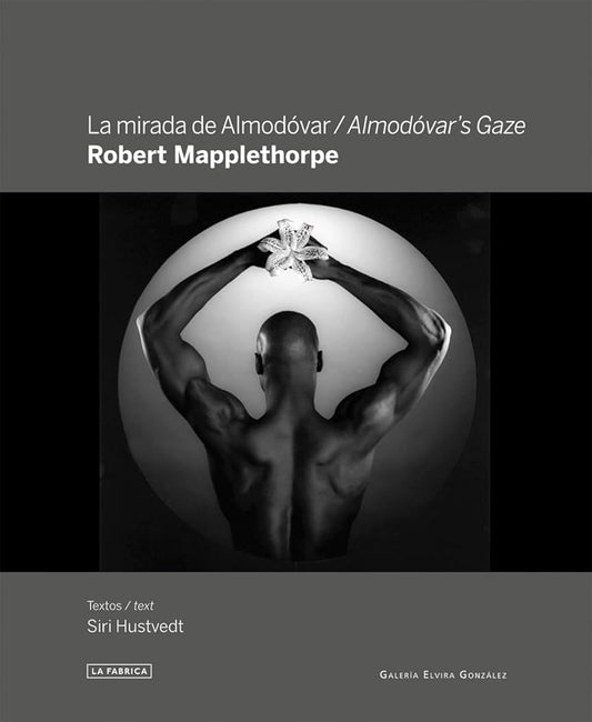 La mirada de Almodóvar: Robert Mapplethorpe (Albúm de Fotos) cover image