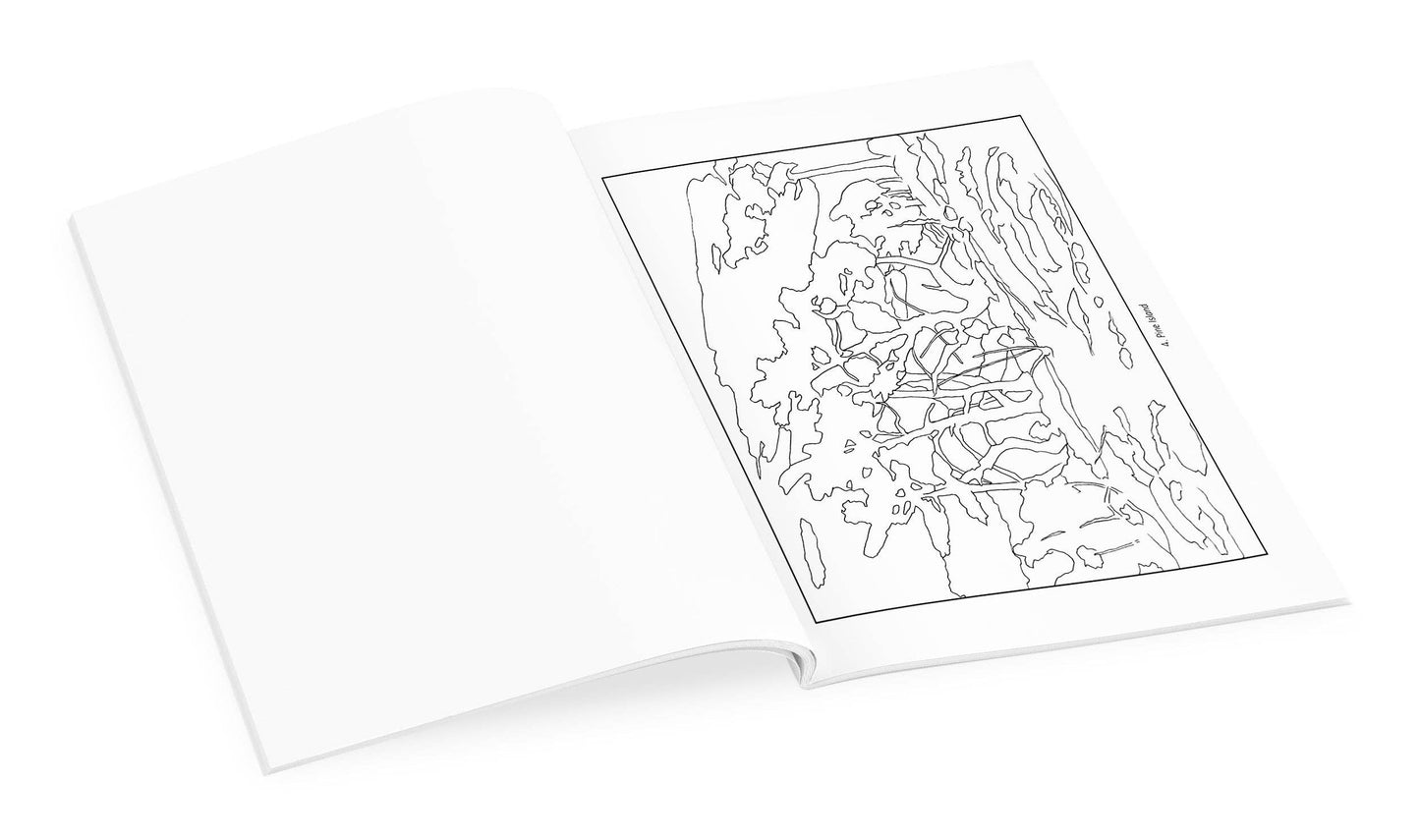 Pomegranate - Tom Thomson Coloring Book - PMA Store at the Portland Museum of Art, Maine