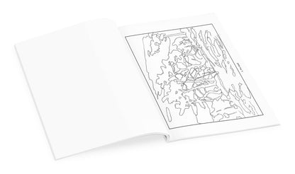 Pomegranate - Tom Thomson Coloring Book - PMA Store at the Portland Museum of Art, Maine