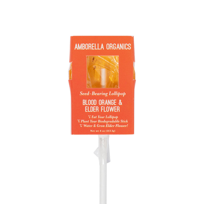 Amborella Organics - Blooming Lollipop Bundle (Eat, Plant & Grow a Herb/Flower) - PMA Store at the Portland Museum of Art, Maine