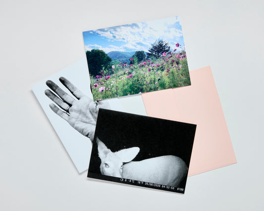 Eve Biddle Greeting Card Pack