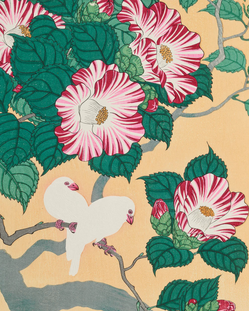 OHARA SHOSON Keepsake Boxed Notecards - PMA Store at the Portland Museum of Art, Maine