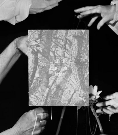 What the Rain Might Bring by Dylan Hausthor | Book signing April 4, 2025, from 4 PM to 6 PM - PMA Store at the Portland Museum of Art, Maine