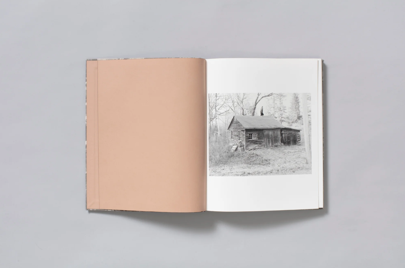 What the Rain Might Bring by Dylan Hausthor | Book signing April 4, 2025, from 4 PM to 6 PM - PMA Store at the Portland Museum of Art, Maine