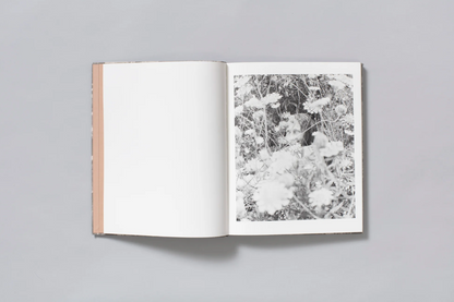 What the Rain Might Bring by Dylan Hausthor | Book signing April 4, 2025, from 4 PM to 6 PM - PMA Store at the Portland Museum of Art, Maine