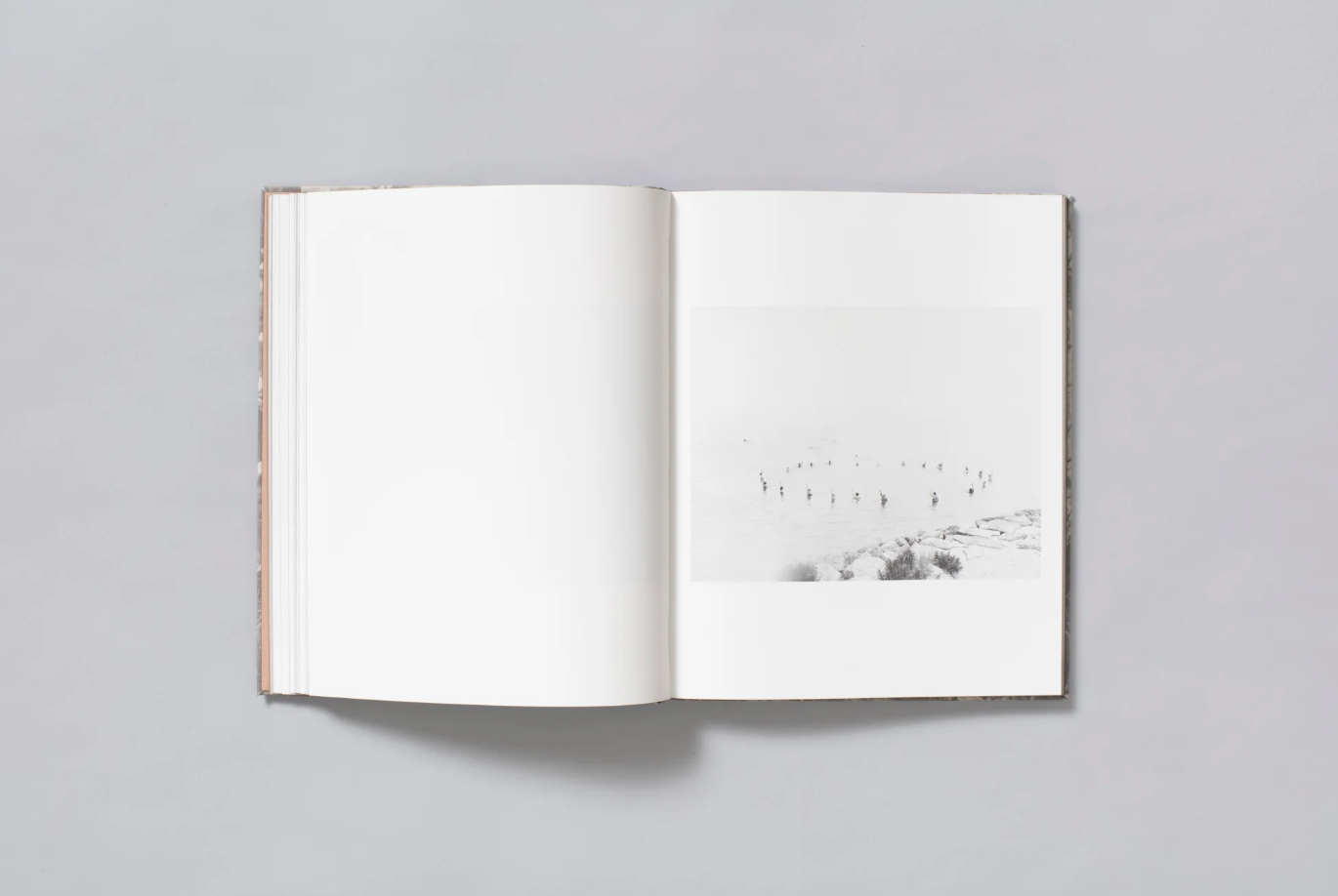 What the Rain Might Bring by Dylan Hausthor | Book signing April 4, 2025, from 4 PM to 6 PM - PMA Store at the Portland Museum of Art, Maine