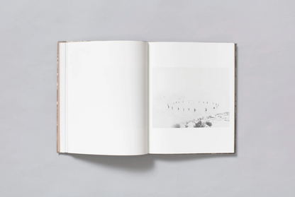 What the Rain Might Bring by Dylan Hausthor | Book signing April 4, 2025, from 4 PM to 6 PM - PMA Store at the Portland Museum of Art, Maine