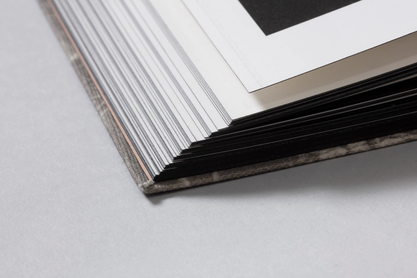 What the Rain Might Bring by Dylan Hausthor | Book signing April 4, 2025, from 4 PM to 6 PM - PMA Store at the Portland Museum of Art, Maine