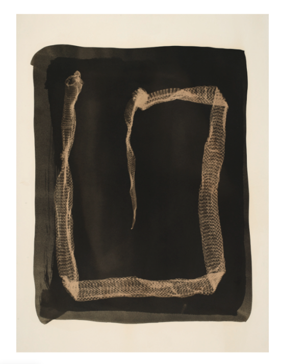 Serpent #11 Note card by Jo Sandman - PMA Store at the Portland Museum of Art, Maine