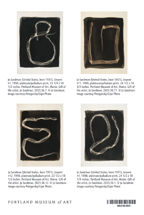 Notecard Pack of 4 Images Jo Sandman - PMA Store at the Portland Museum of Art, Maine