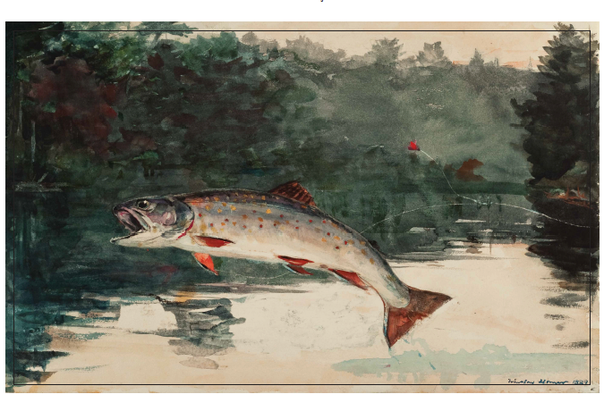 Leaping Trout by Winslow Homer Cotton Tea Towel - PMA Store at the Portland Museum of Art, Maine