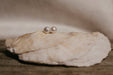 Sea Salt & Silver - White Pearl Stud Earrings: Large - PMA Store at the Portland Museum of Art, Maine