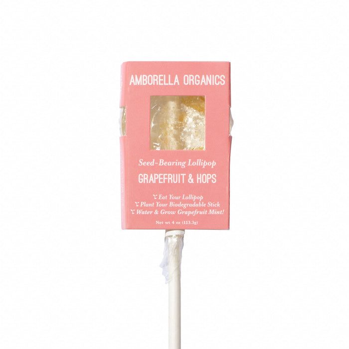 Amborella Organics - Blooming Lollipop Bundle (Eat, Plant & Grow a Herb/Flower) - PMA Store at the Portland Museum of Art, Maine