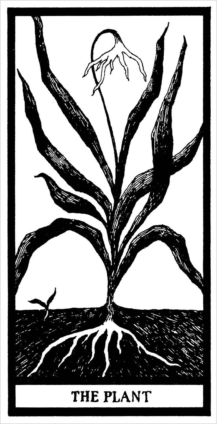 Pomegranate - The Fantod Pack by Edward Gorey - PMA Store at the Portland Museum of Art, Maine