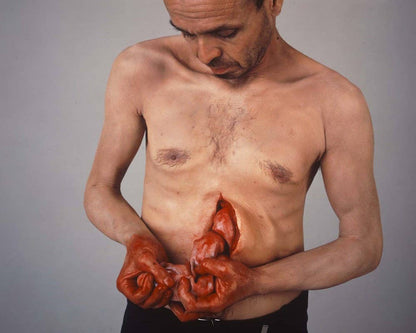 W. W. Norton - The Body in Contemporary Art: Paperback