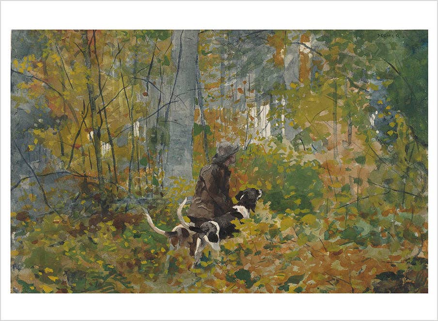 Pomegranate - Winslow Homer Book of Postcards - PMA Store at the Portland Museum of Art, Maine