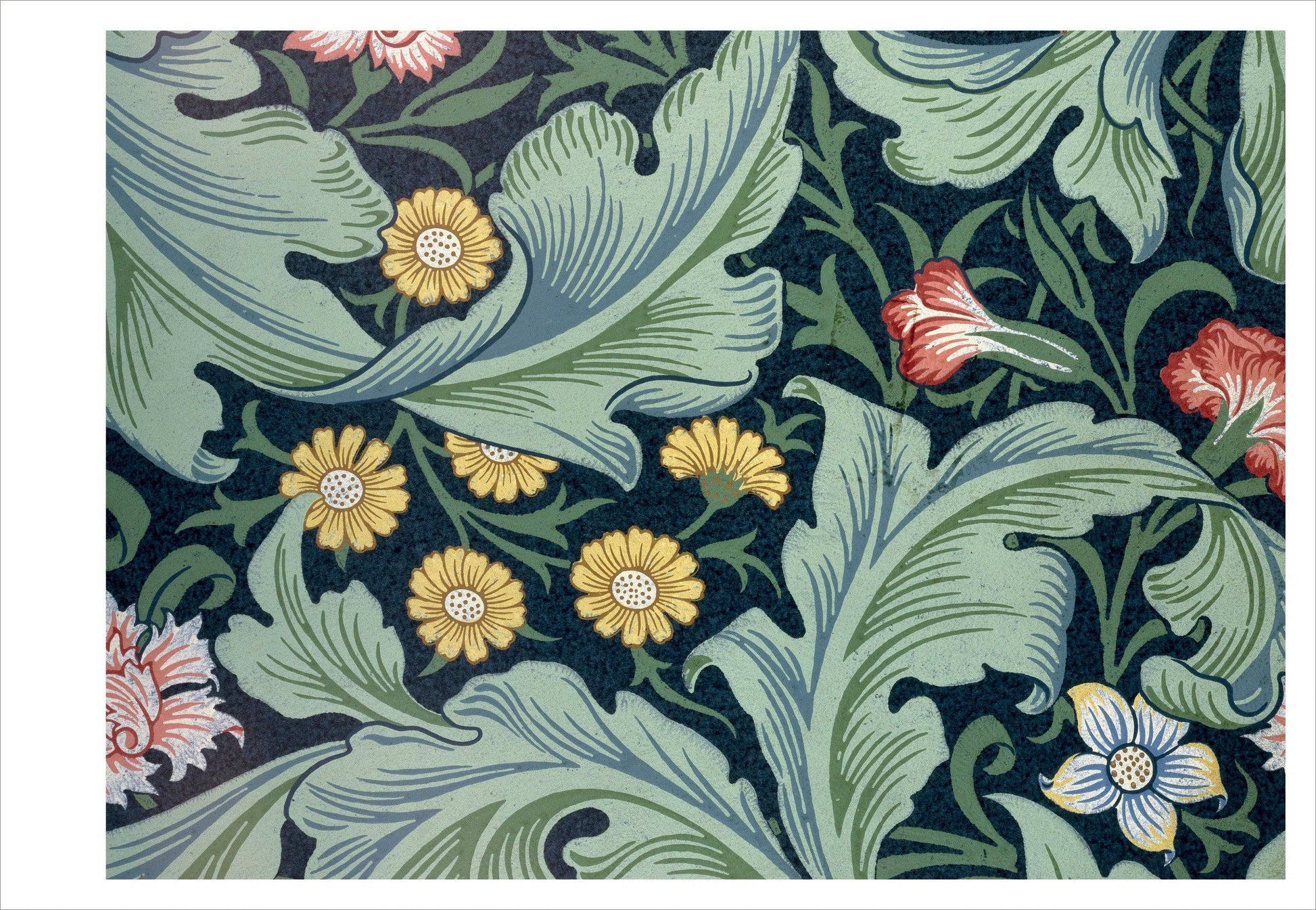 Pomegranate - William Morris: Arts and Crafts Designs Book of Postcards - PMA Store at the Portland Museum of Art, Maine