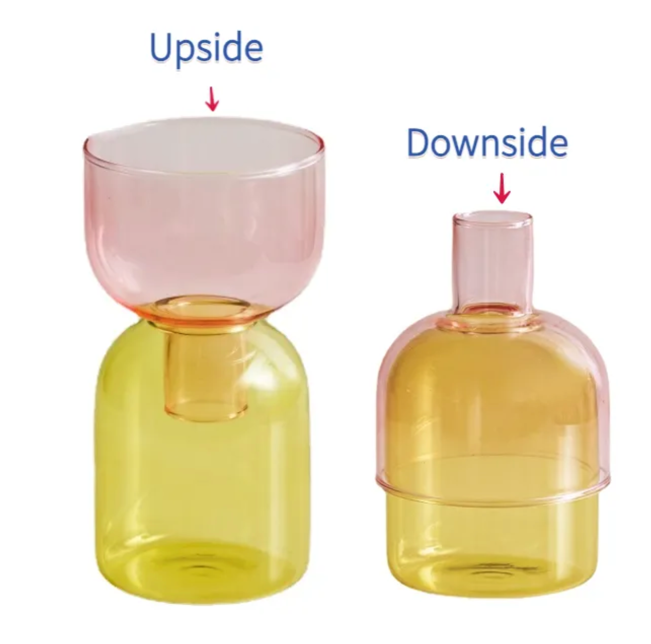 Two Way Terrarium Hydroponic Plant Vase / Candle Holder: Yellow-Green - PMA Store at the Portland Museum of Art, Maine