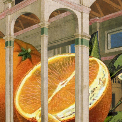 Pictrix Design - “Big produce: Oranges” A2 notecard: Recycled white envelopes - PMA Store at the Portland Museum of Art, Maine