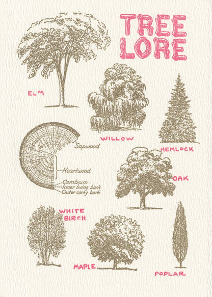 Saturn Press - Tree Lore: Unsleeved - PMA Store at the Portland Museum of Art, Maine
