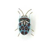 Picasso Bug Brooch Pin